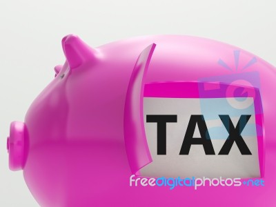 Tax In Piggy Shows Taxation Savings Taxpayer Stock Image
