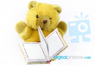 Teddy Bear Stock Photo
