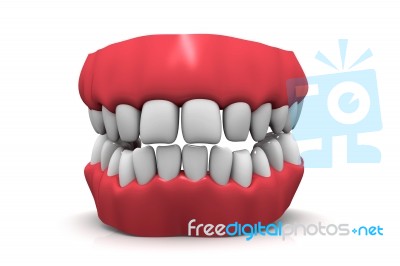 Teeth Model Stock Image