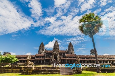 Temple And Palm Tree Stock Photo