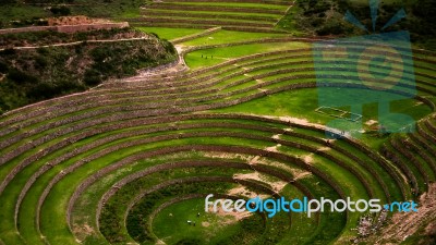 Terraces Of Cultivation In The Sacred Valley Of The Incas, Peru Stock Photo