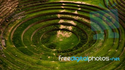 Terraces Of Cultivation In The Sacred Valley, Peru Stock Photo