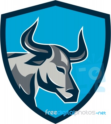 Texas Longhorn Bull Head Shield Retro Stock Image