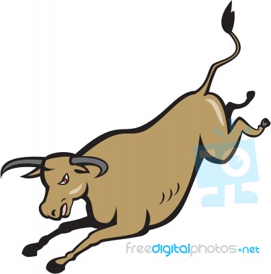 Texas Longhorn Bull Jumping Cartoon Stock Image