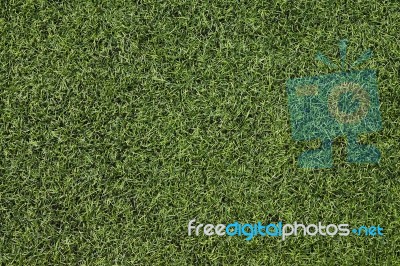 Texture Of Artificial Grass Ground Stock Photo