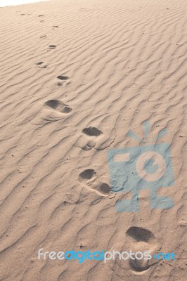 Texture Of Sand Stock Photo