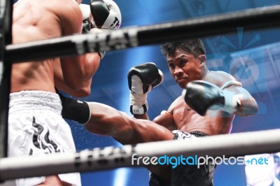 Thai Fight 2012 Stock Photo