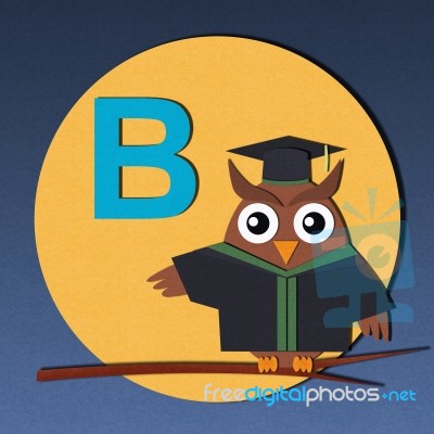 The Alphabet - B Stock Image