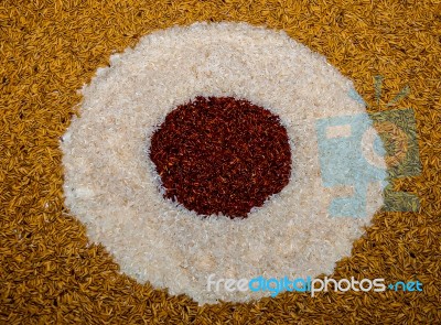 The Art Of Rice And Paddy And Unpolished Rice Stock Photo