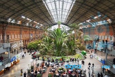 The Botanical Garden Inside The Atocha Train Station In Madrid, Spain Stock Photo
