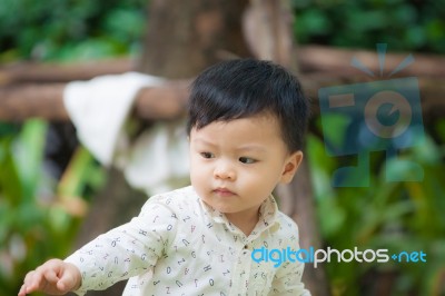 The Cute Boy In The Garden Stock Photo The Cute Boy In The Garden Stock Photo