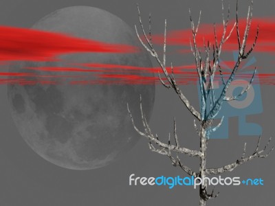 The Dead Tree And The Moon Stock Image