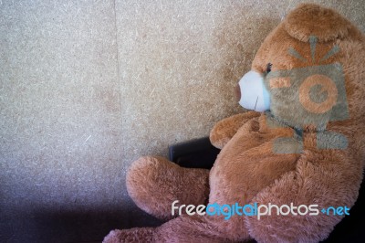 The Doll Bear Waiting On Black Sofa Stock Photo