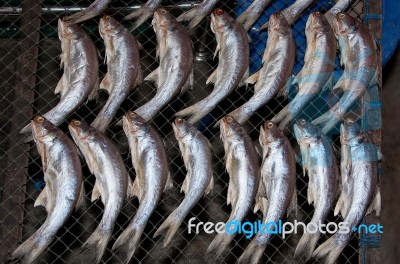The Dried Fish At Market Stock Photo