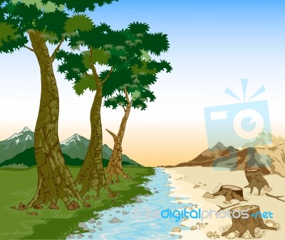 The Environment Stock Image The Environment Stock Image