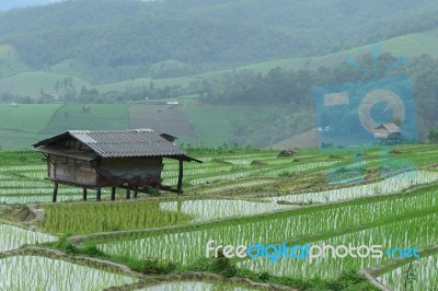 The Farmer's Hut Stock Photo