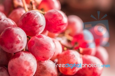The Grapes Of The Picture Blurred Stock Photo