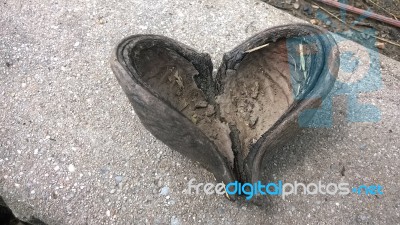 The Heart Shape From Nature Stock Photo