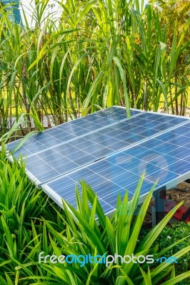 The Panels Of Solar Cell In A Garden Stock Photo