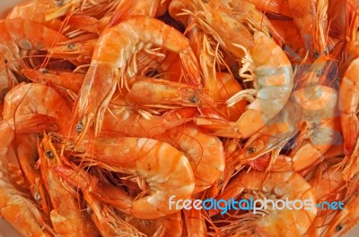 The Shrimps Stock Photo