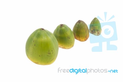 The Small Coconuts Stock Photo