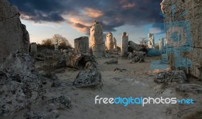 The Stone Forest Stock Photo
