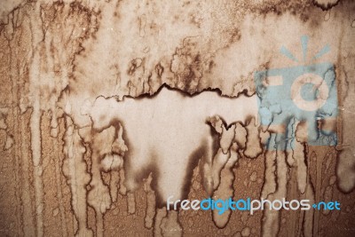 The Surface Of Wet Paper Stock Photo