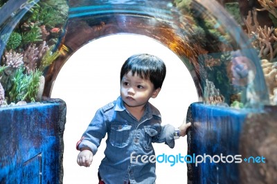 The Thai Boy In The Aqurium Stock Photo