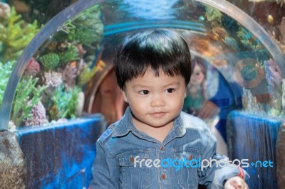 The Thai Boy In The Aqurium Stock Photo