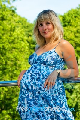The Young Pregnant Woman Stock Photo