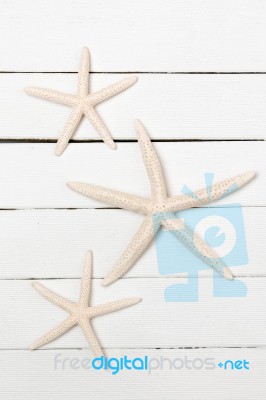 Three White Starfish Stock Photo