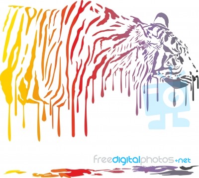 Tiger, Abstract Color Painting On A White Background Stock Image