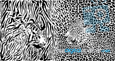 Tiger And Leopard And Pattern Background Stock Image