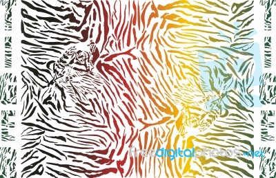 Tiger Color Pattern Background Stock Image