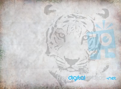 Tiger Drawing Stock Image