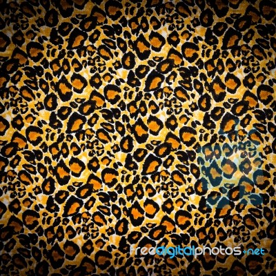 Tiger Fur Texture Stock Photo