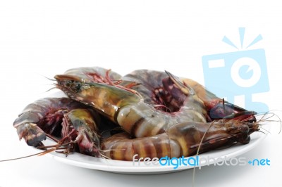 Tiger Shrimp Stock Photo