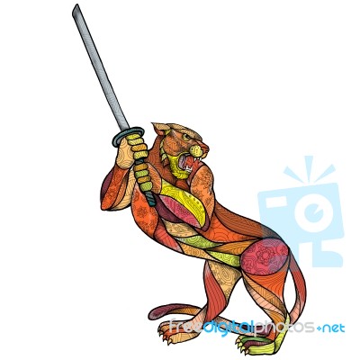 Tiger Sword Fighting Mandala Stock Image