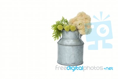 Tin Pot And Fresh Flower And Leaves On White Background Stock Photo