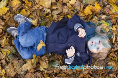 Toddler Blond Boy With Blue Eyes Lays On Bed Of Autumn Fallen Le… Stock Photo