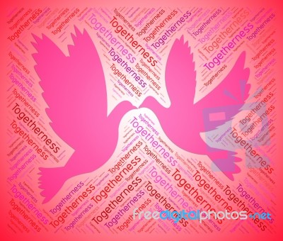 Togetherness Doves Represents Intimate Closeness And Loving Stock Image