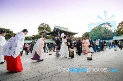 Tokyo,japan-nov 20 :a Japanese Wedding Ceremony At Meiji Jingu S… Stock Photo
