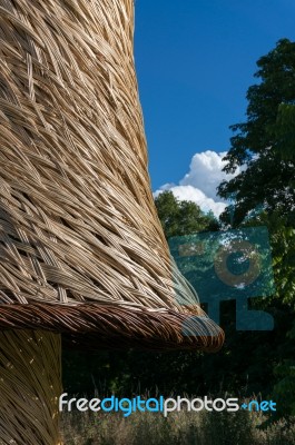 Tom Hare's Fungi Fairy Ring Stock Photo Tom Hare's Fungi Fairy Ring Stock Photo