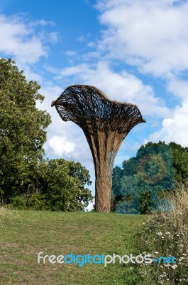 Tom Hare's Fungi Fairy Ring At Kew Gardens Stock Photo