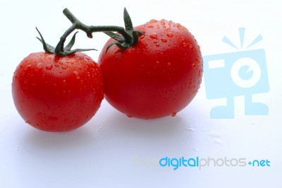 Tomato Stock Photo