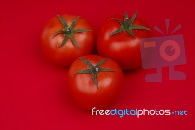 Tomatoes Stock Photo Tomatoes Stock Photo