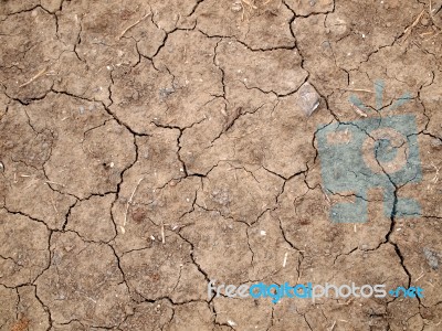 Top View Shot Of Cracked Soil Stock Photo