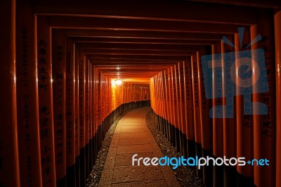 Torii Gates In Fushimi Inari Shrine Stock Photo