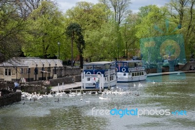 Tourist Boats Moored On River Thames Near Eton Bridge Stock Photo