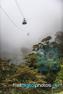 Tourists On Cable Chairlift Above The Jungle Of Ecuador Stock Photo